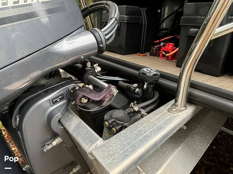 Slide: The Image of Sylvan Mirage 8522 Party Fish 2023 - 14695483