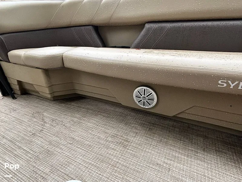 Slide: The Image of Sylvan Mirage 8522 Party Fish 2023 - 14695495