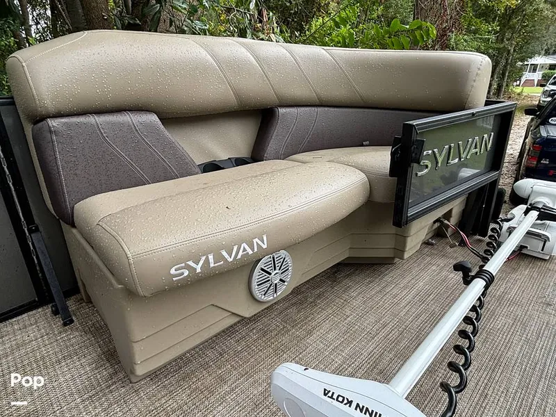 Slide: The Image of Sylvan Mirage 8522 Party Fish 2023 - 14695496