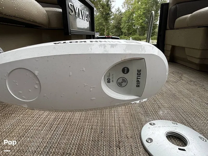 Slide: The Image of Sylvan Mirage 8522 Party Fish 2023 - 14695497