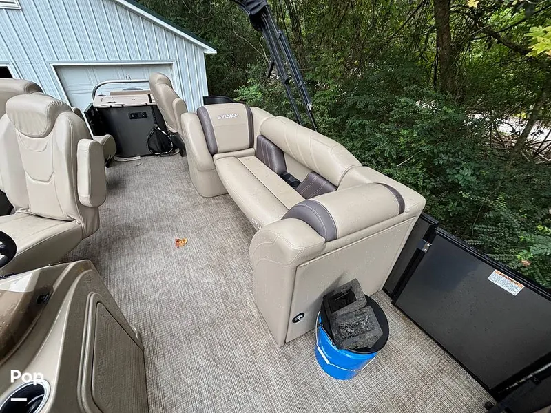 Slide: The Image of Sylvan Mirage 8522 Party Fish 2023 - 14695500