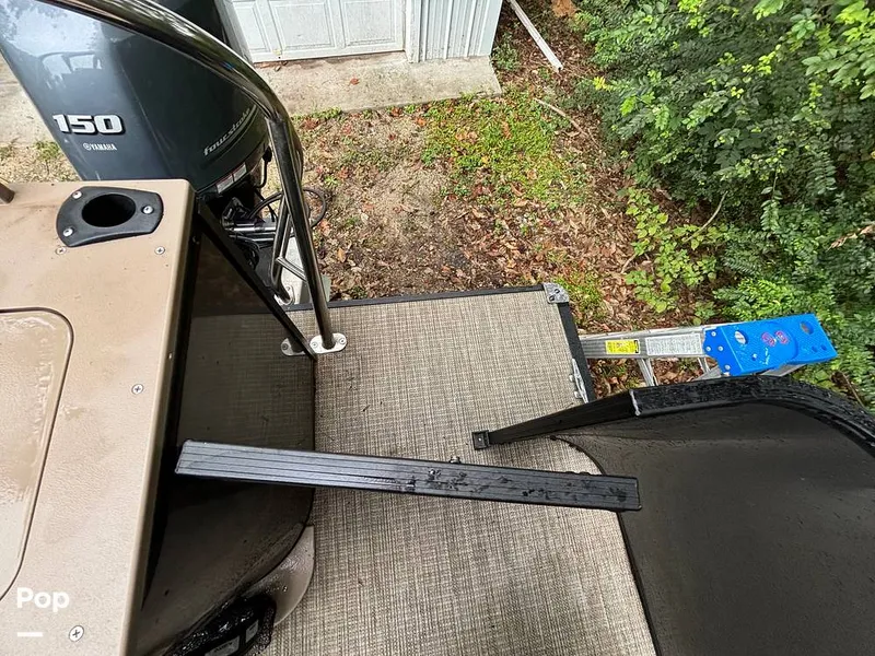 Slide: The Image of Sylvan Mirage 8522 Party Fish 2023 - 14695521