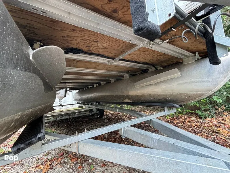 Slide: The Image of Sylvan Mirage 8522 Party Fish 2023 - 14695541