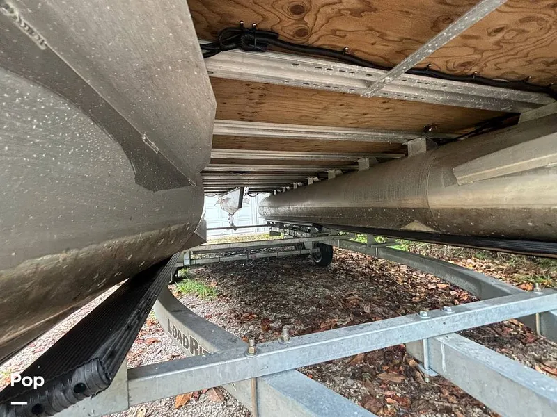 Slide: The Image of Sylvan Mirage 8522 Party Fish 2023 - 14695543