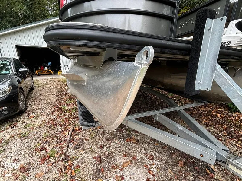 Slide: The Image of Sylvan Mirage 8522 Party Fish 2023 - 14695545