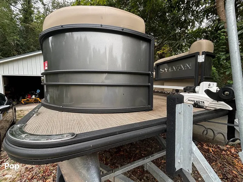 Slide: The Image of Sylvan Mirage 8522 Party Fish 2023 - 14695547