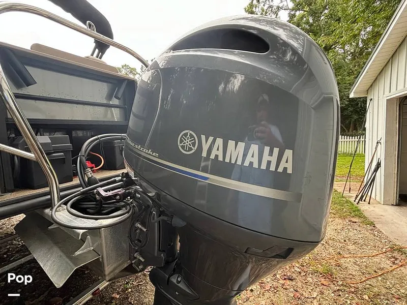 Slide: The Image of Sylvan Mirage 8522 Party Fish 2023 - 14695557