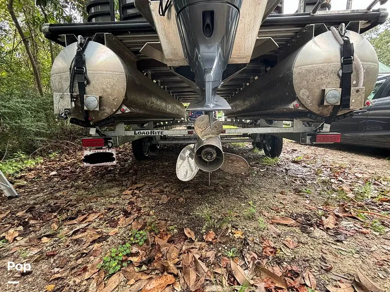 Slide: The Image of Sylvan Mirage 8522 Party Fish 2023 - 14695559