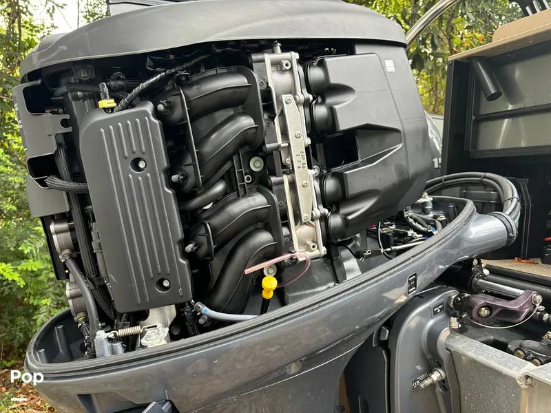 Slide: The Image of Sylvan Mirage 8522 Party Fish 2023 - 14695472