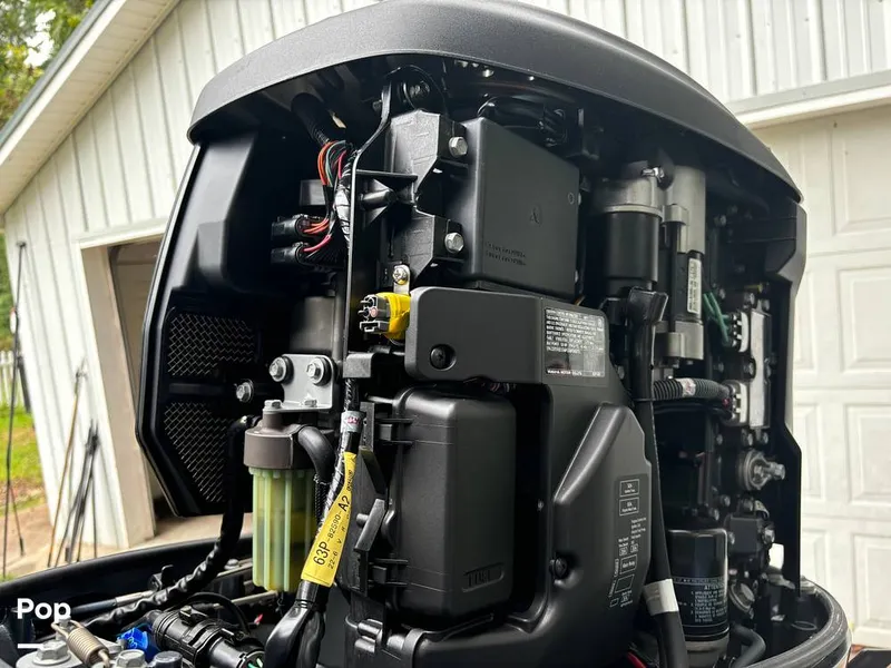 Slide: The Image of Sylvan Mirage 8522 Party Fish 2023 - 14695473