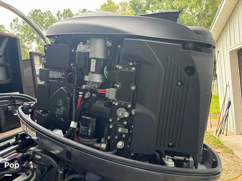 Slide: The Image of Sylvan Mirage 8522 Party Fish 2023 - 14695475