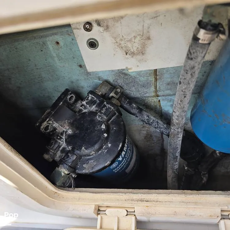 Slide: The Image of Pursuit 2470 2001 - 14777168