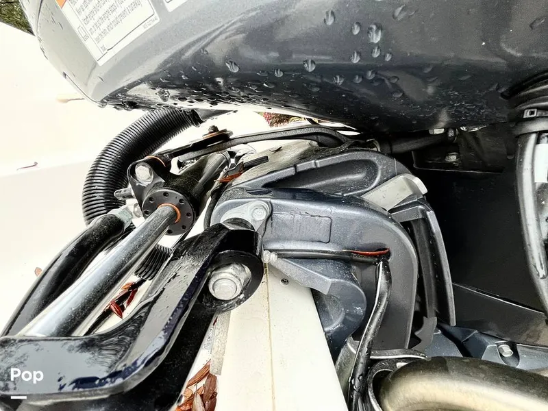 Slide: The Image of Chaparral 191 Suncoast 2019 - 15358749