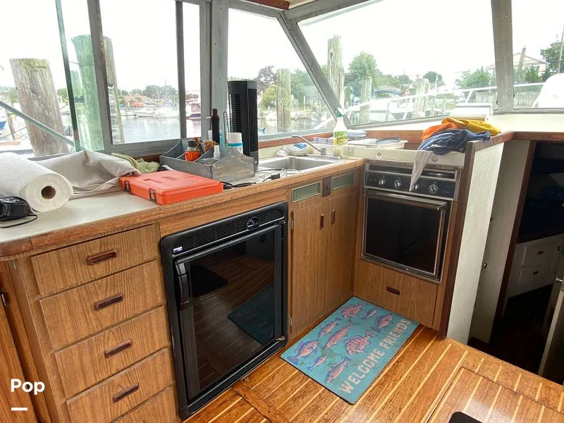 Slide: The Image of Bertram 35 Sportfish 1978 - 14682907