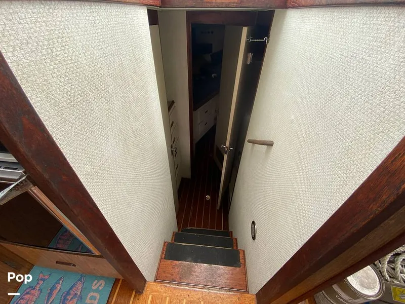 Slide: The Image of Bertram 35 Sportfish 1978 - 14682913