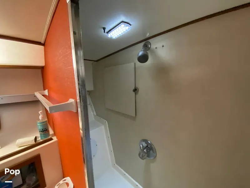 Slide: The Image of Bertram 35 Sportfish 1978 - 14682919