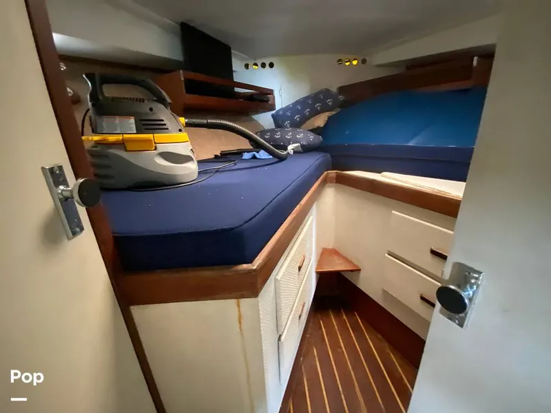 Slide: The Image of Bertram 35 Sportfish 1978 - 14682922