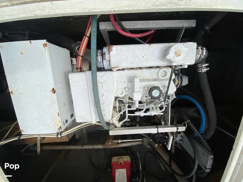 Slide: The Image of Bertram 35 Sportfish 1978 - 14682934