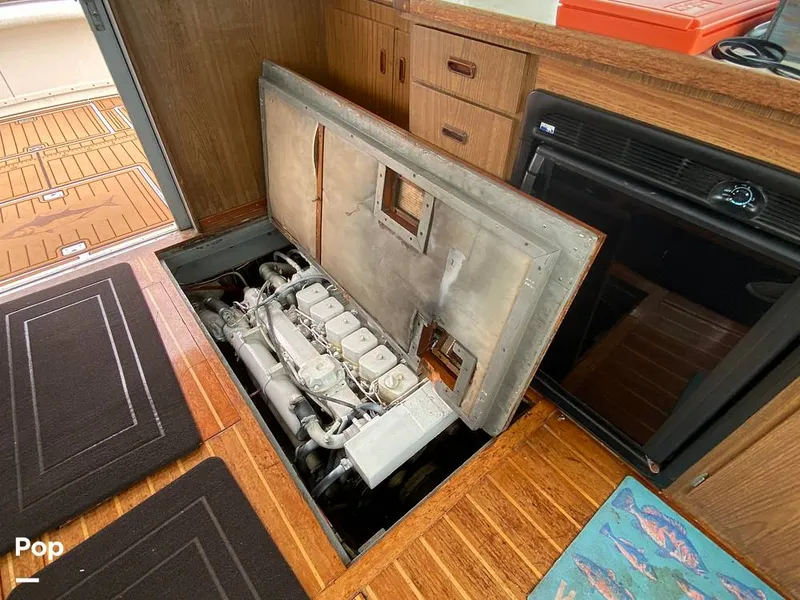 Slide: The Image of Bertram 35 Sportfish 1978 - 14682966