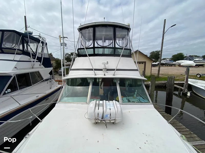 Slide: The Image of Bertram 35 Sportfish 1978 - 14682943