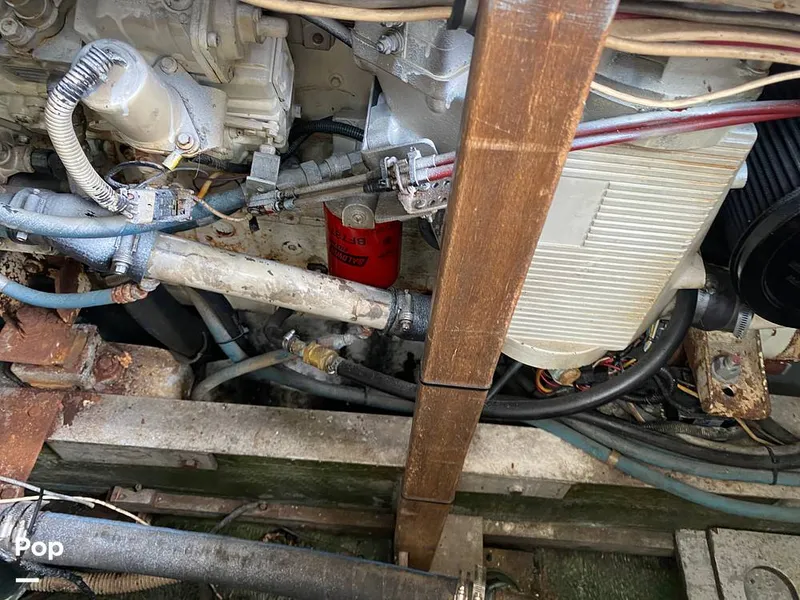 Slide: The Image of Bertram 35 Sportfish 1978 - 14682970