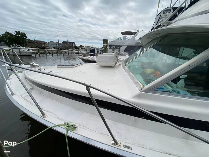 Slide: The Image of Bertram 35 Sportfish 1978 - 14682894