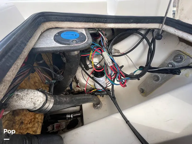 Slide: The Image of Shearwater 25 LTZ Limited Edition 2018 - 14707639