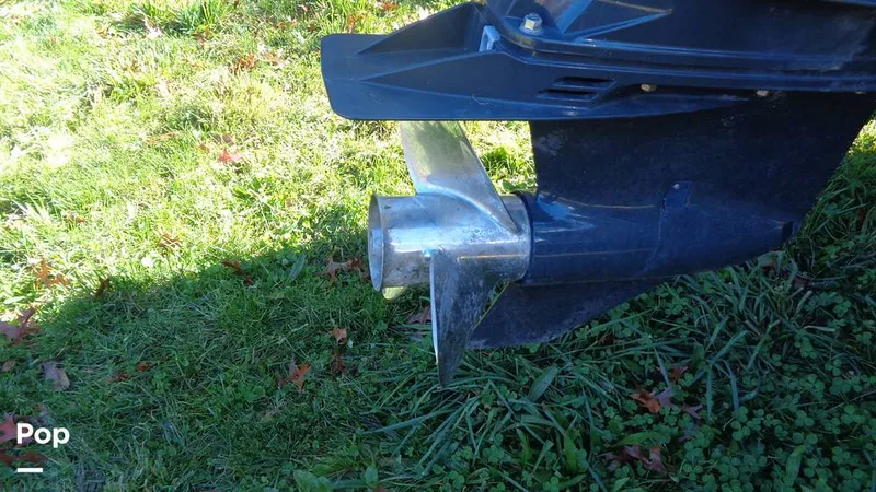 Slide: The Image of Bestyear 25 2015 - 16057528