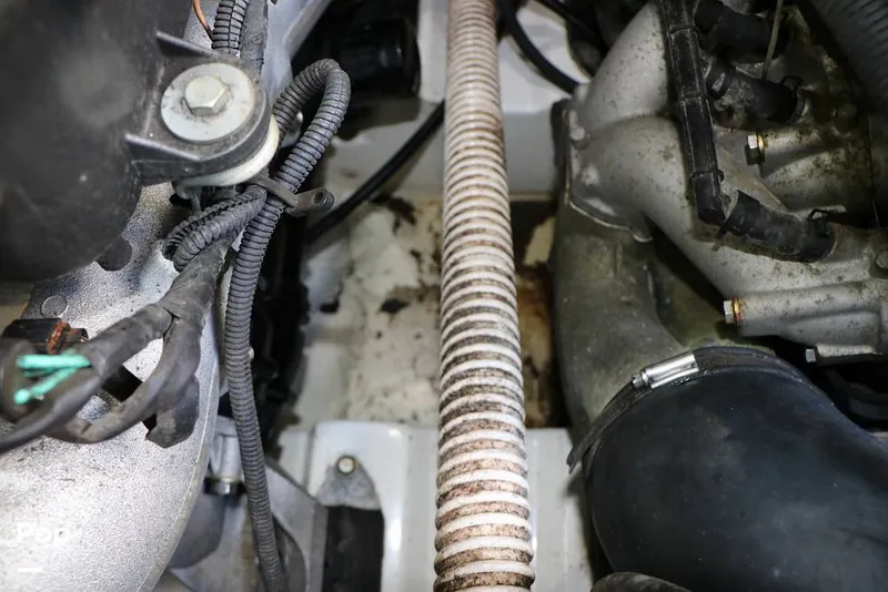 Slide: The Image of Yamaha AR230 HO 2006 - 14778072