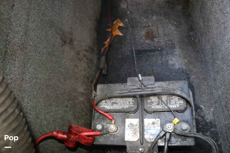 Slide: The Image of Yamaha AR230 HO 2006 - 14778058