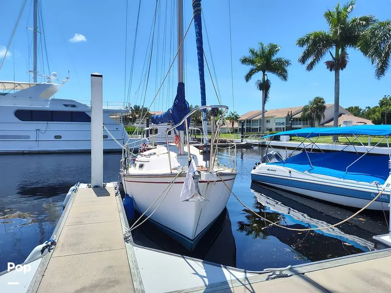 Slide: The Image of Island Packet 26 MKII 1984 - 14697847