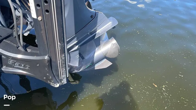 Slide: The Image of Sea Hunt Gamefish 25 2020 - 14853314