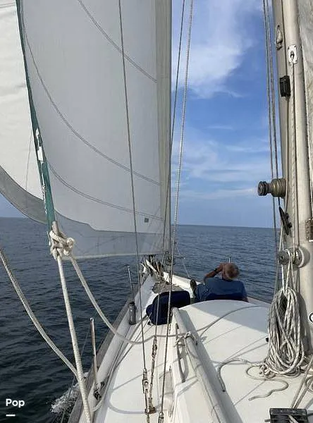 Slide: The Image of Morgan 38 1978 - 14696124