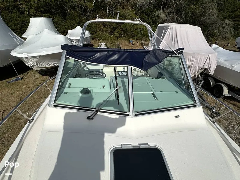 Slide: The Image of Pursuit Denali 2860 2002 - 14747720