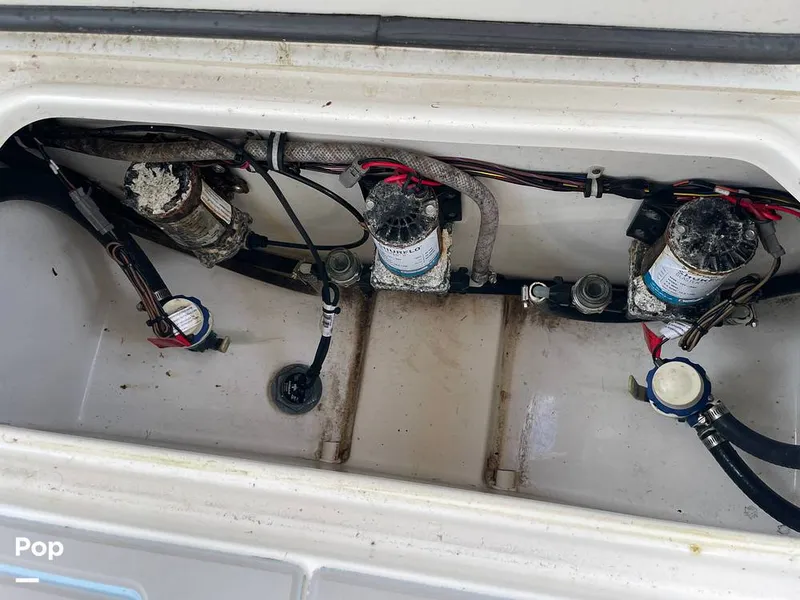 Slide: The Image of Sea Hunt Gamefish 27 FSA 2022 - 14786626