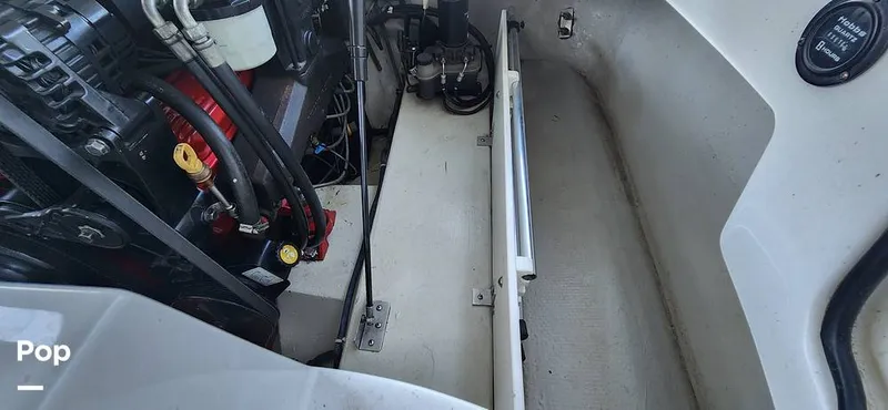 Slide: The Image of Cobalt 24 SX 2005 - 14758366