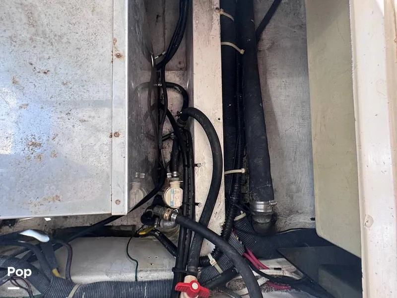 Slide: The Image of Albin 28 Tournament Express Flush Deck 2007 - 14741523