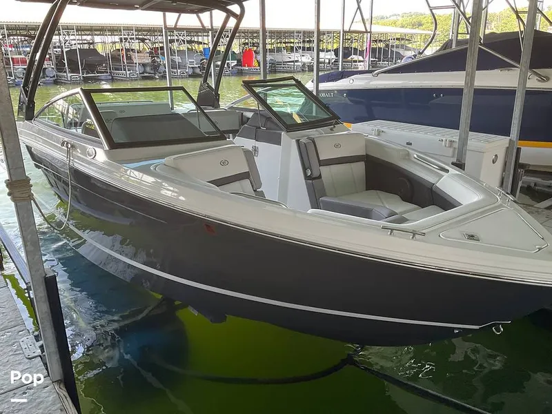 The Image of Cobalt R6 2023 - 15662624