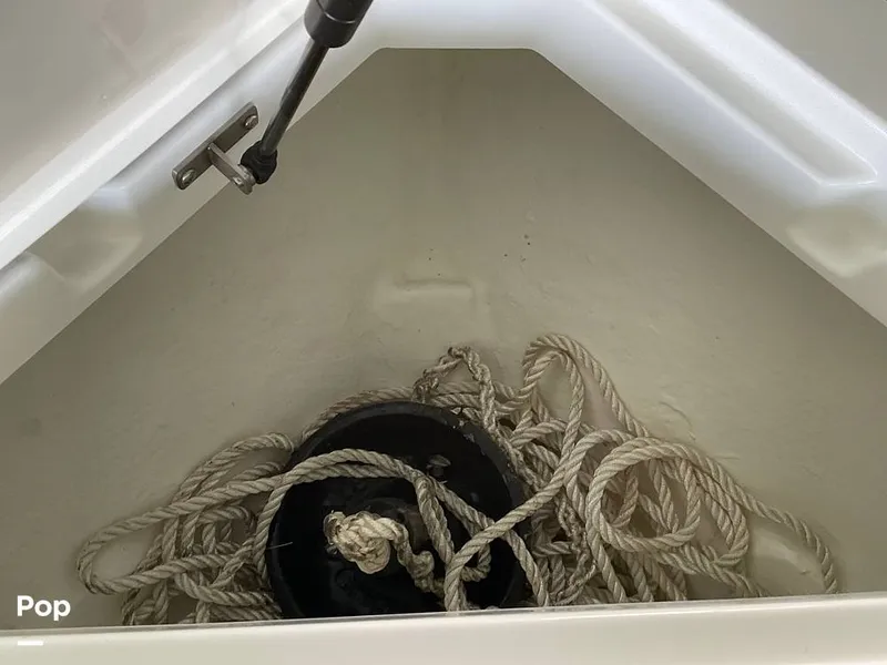 Slide: The Image of Cobalt R6 2023 - 15662771