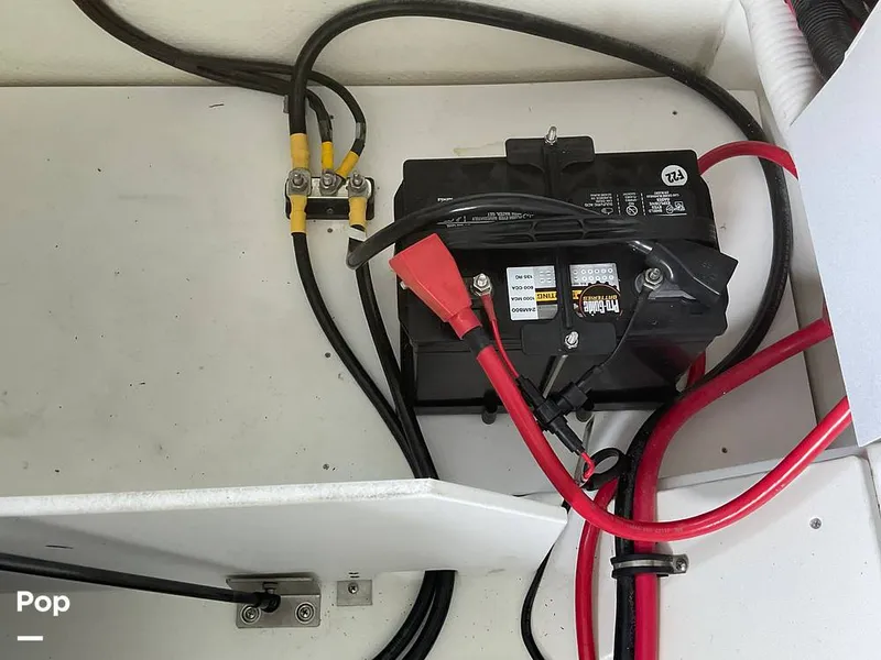 Slide: The Image of Cobalt R6 2023 - 15662785