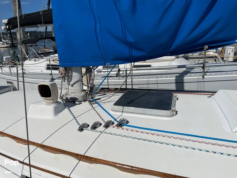 Slide: The Image of Sabre 34 1983 - 15900756