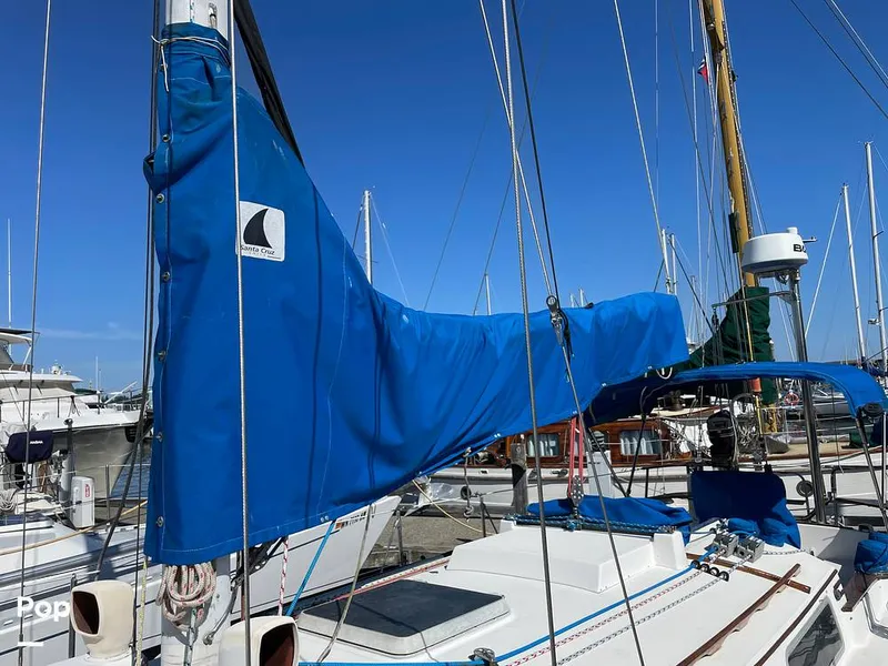 Slide: The Image of Sabre 34 1983 - 15900753