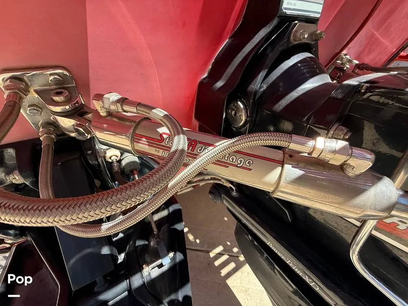 Slide: The Image of Thoroughbred Velocity Summer Squall 1994 - 15546365