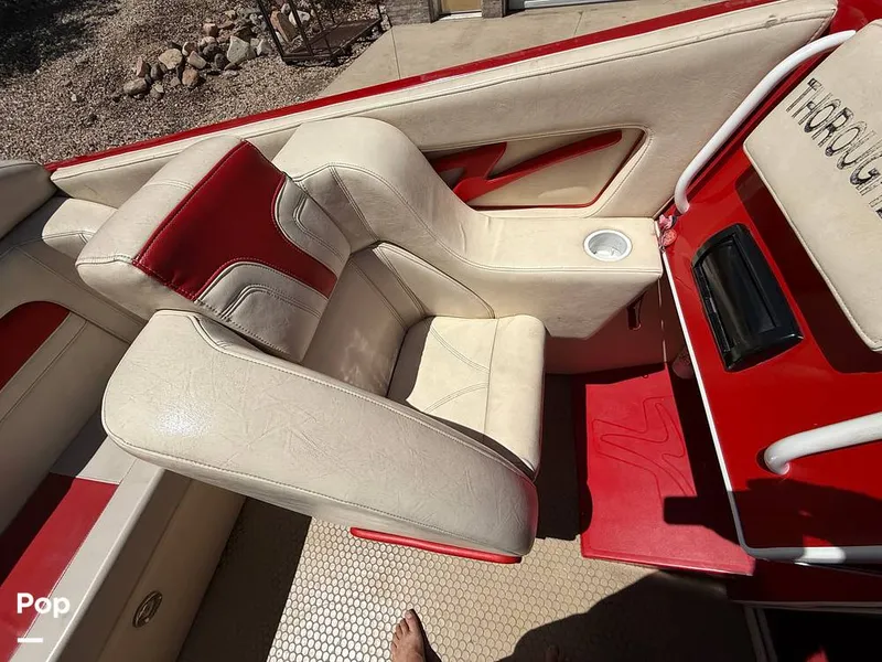 Slide: The Image of Thoroughbred Velocity Summer Squall 1994 - 15546378