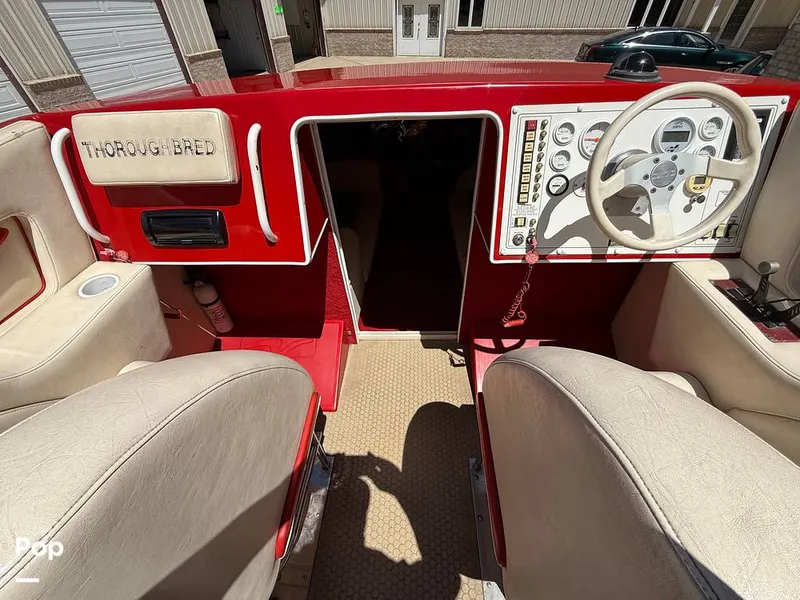 Slide: The Image of Thoroughbred Velocity Summer Squall 1994 - 15546380