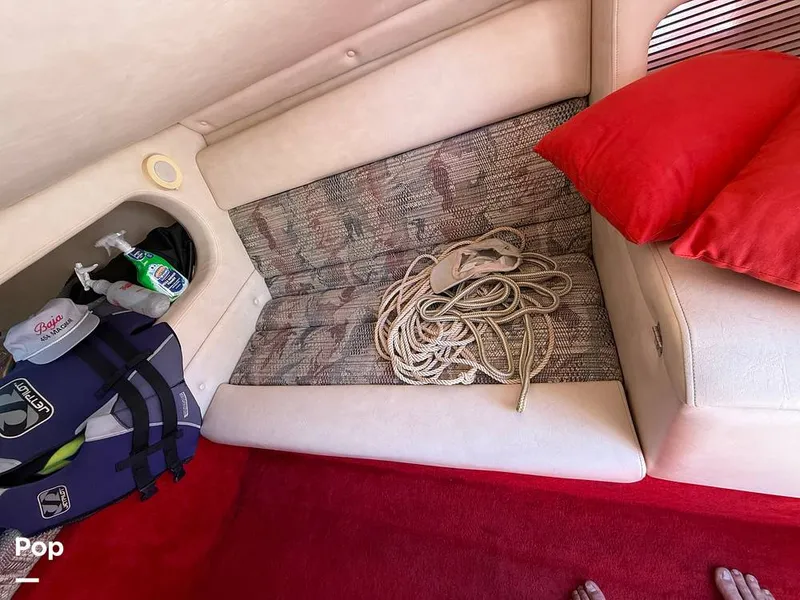 Slide: The Image of Thoroughbred Velocity Summer Squall 1994 - 15546384