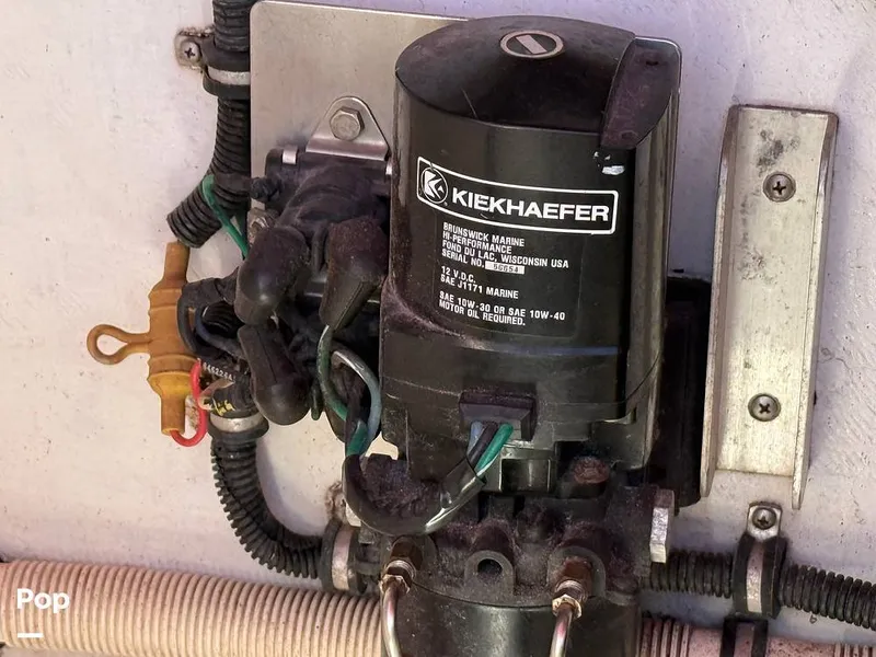 Slide: The Image of Thoroughbred Velocity Summer Squall 1994 - 15546398