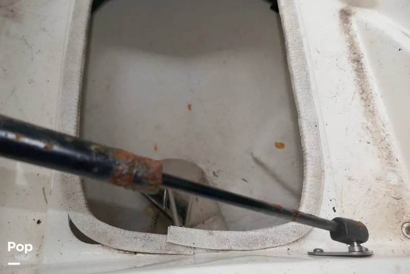 Slide: The Image of Sea Ray SLX 250 2017 - 14799252