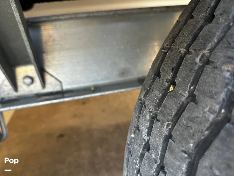 Slide: The Image of Shallow Sport 21 Mod-V 2018 - 14806269