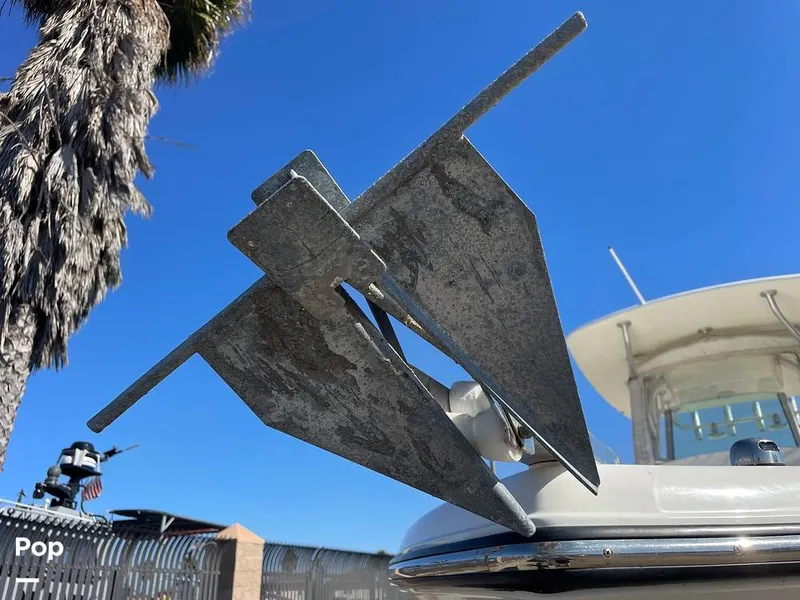 Slide: The Image of Mako 234cc 2020 - 14807554